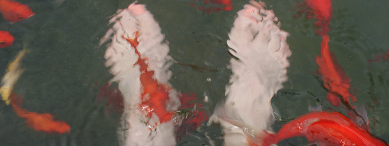 Het lopen op blote voeten heeft veel voordelen Het lopen op blote voeten heeft veel voordelen